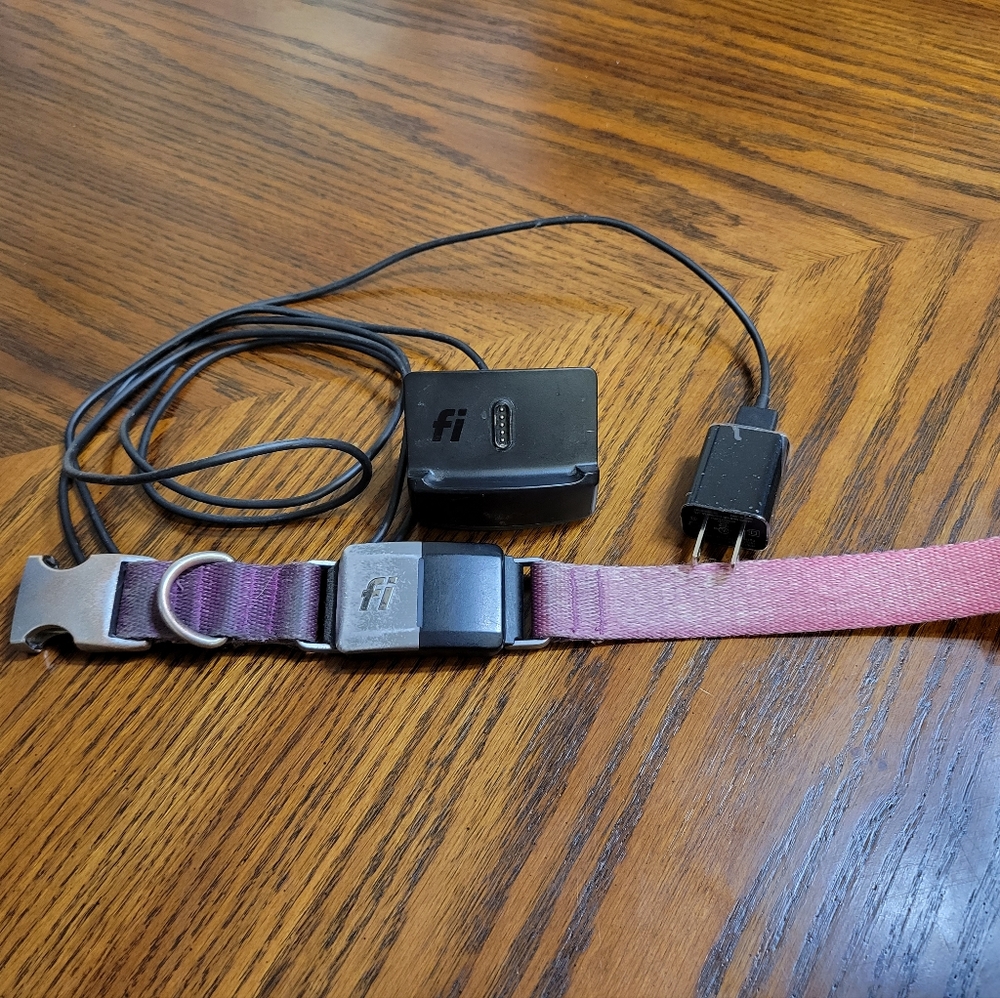 Fi 2 GPS Dog collar and base